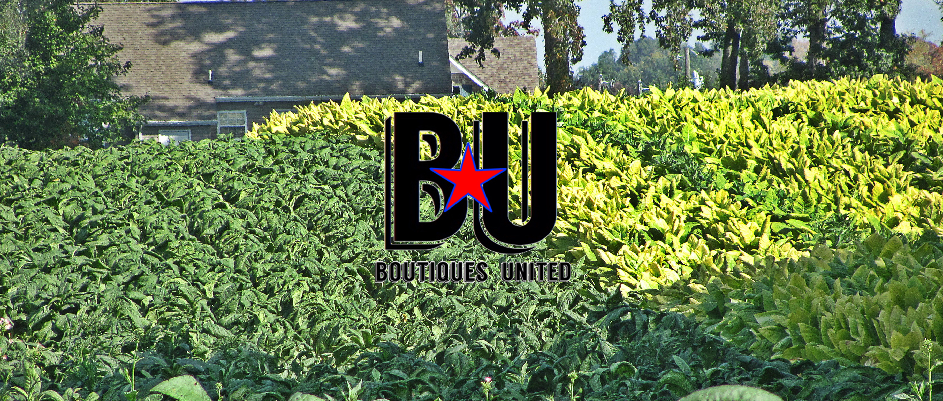 Boutiques Unlimited logo