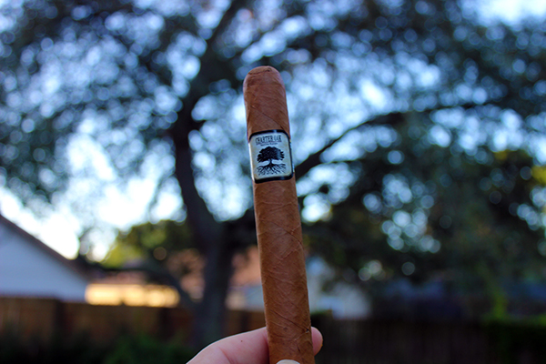 Foundation Cigar Charter Oak
