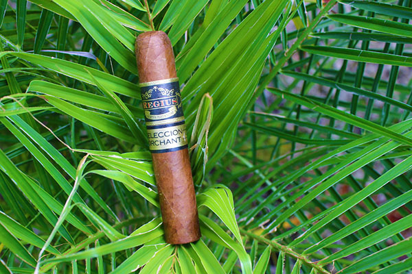 Regius Seleccion Orchant