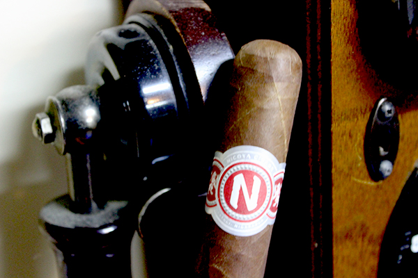 Nicoya Robusto Medio