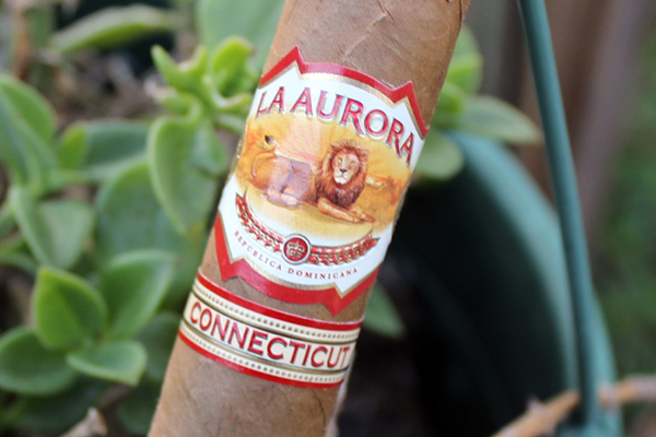 La Aurora 1987 Connecticut