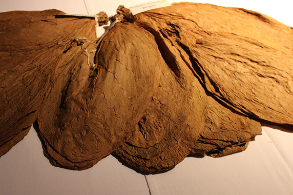 General Cigars Inspirado Event