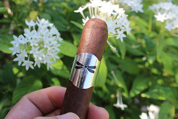 Jeremy Jack Libelula