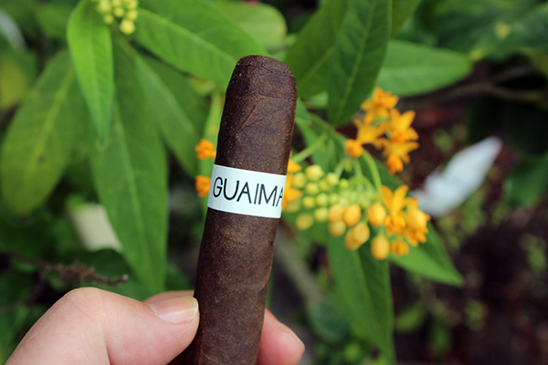 Guáimaro by Esteban Disla