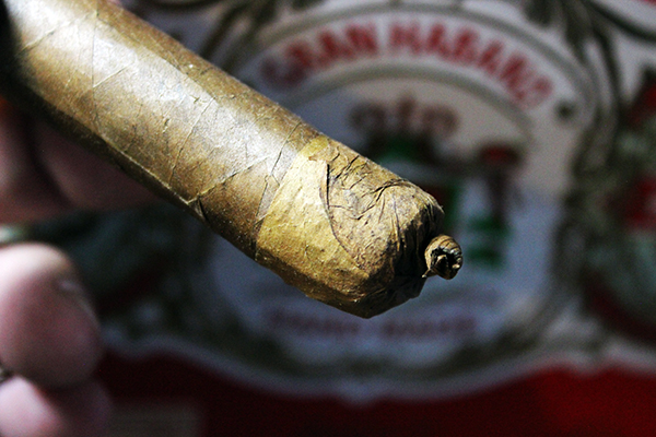 Gran Habano Persian King